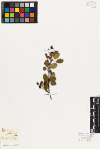 SW_BNB_s3010-07855_IMG-0000000001