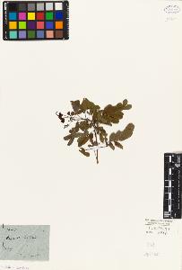 SW_BNB_s3010-07863_IMG-0000000001