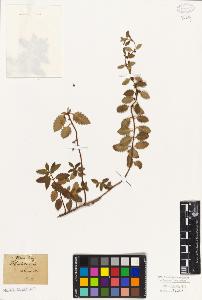 SW_BNB_s3010-07866_IMG-0000000001