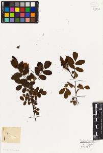 SW_BNB_s3010-07867_IMG-0000000001