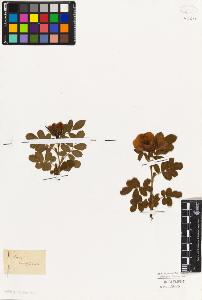 SW_BNB_s3010-07868_IMG-0000000001