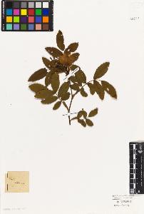SW_BNB_s3010-07869_IMG-0000000001