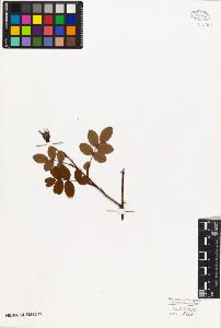 SW_BNB_s3010-07883_IMG-0000000001