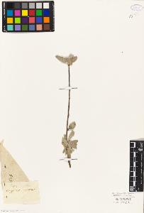 SW_BNB_s3010-07889_IMG-0000000001