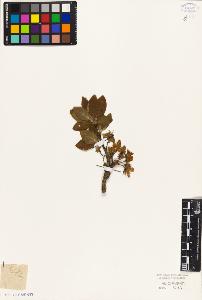 SW_BNB_s3010-07891_IMG-0000000001