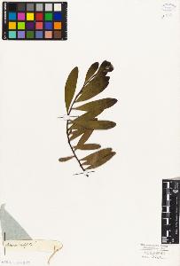SW_BNB_s3010-07899_IMG-0000000001