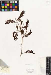 SW_BNB_s3010-07901_IMG-0000000001