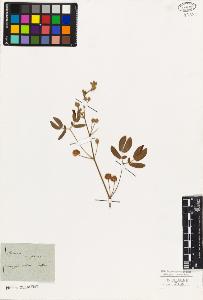 SW_BNB_s3010-07907_IMG-0000000001