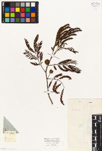 SW_BNB_s3010-07923_IMG-0000000001