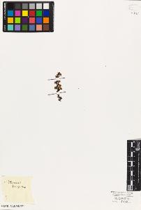 SW_BNB_s3010-07925_IMG-0000000001