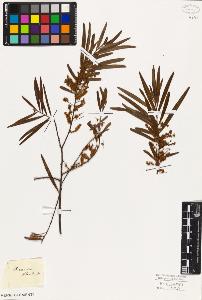 SW_BNB_s3010-07927_IMG-0000000001