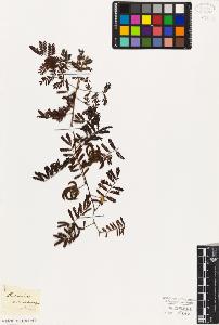SW_BNB_s3010-07928_IMG-0000000001