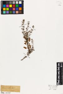 SW_BNB_s3010-07929_IMG-0000000001