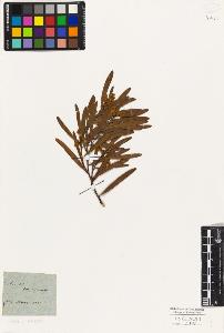 SW_BNB_s3010-07931_IMG-0000000001