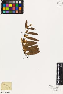 SW_BNB_s3010-07932_IMG-0000000001