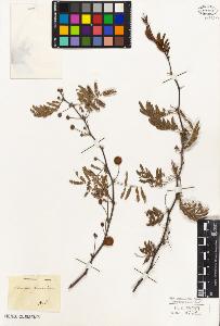 SW_BNB_s3010-07941_IMG-0000000001