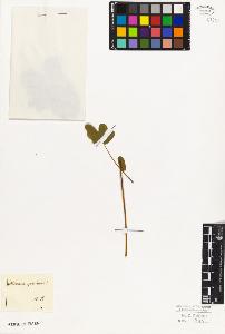 SW_BNB_s3010-07948_IMG-0000000001