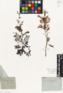 SW_BNB_s3010-07951_IMG-0000000001