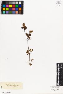 SW_BNB_s3010-07959_IMG-0000000001