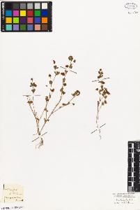 SW_BNB_s3010-07960_IMG-0000000001