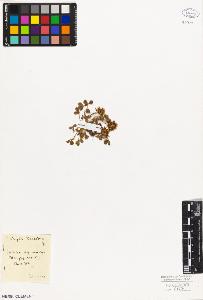 SW_BNB_s3010-07962_IMG-0000000001