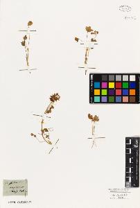 SW_BNB_s3010-07966_IMG-0000000001