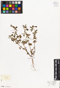 SW_BNB_s3010-07967_IMG-0000000001