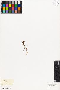 SW_BNB_s3010-07968_IMG-0000000001