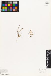 SW_BNB_s3010-07971_IMG-0000000001