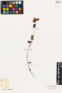 SW_BNB_s3010-07973_IMG-0000000001