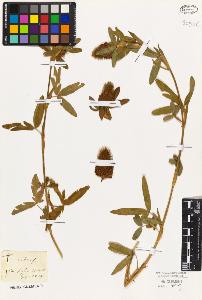 SW_BNB_s3010-07974_IMG-0000000001