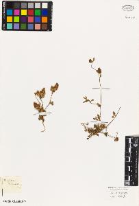 SW_BNB_s3010-07976_IMG-0000000001