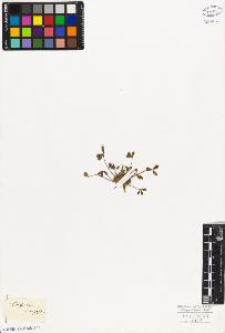 SW_BNB_s3010-07979_IMG-0000000001