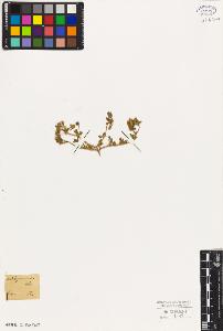 SW_BNB_s3010-07988_IMG-0000000001