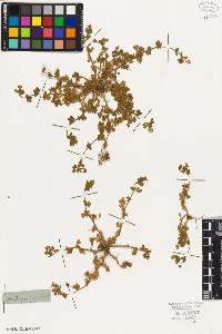 SW_BNB_s3010-07989_IMG-0000000001