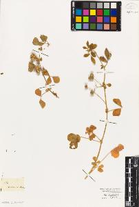 SW_BNB_s3010-07990_IMG-0000000001