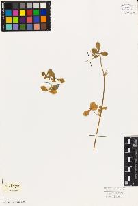 SW_BNB_s3010-07994_IMG-0000000001