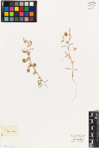 SW_BNB_s3010-07996_IMG-0000000001