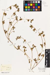 SW_BNB_s3010-08001_IMG-0000000001
