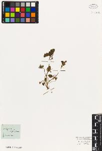 SW_BNB_s3010-08005_IMG-0000000001