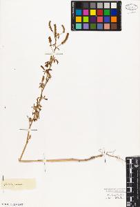 SW_BNB_s3010-08007_IMG-0000000001