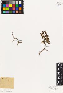 SW_BNB_s3010-08009_IMG-0000000001