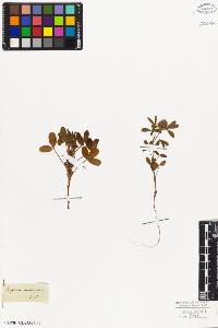 SW_BNB_s3010-08013_IMG-0000000001