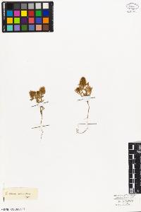 SW_BNB_s3010-08015_IMG-0000000001