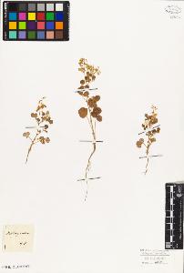 SW_BNB_s3010-08017_IMG-0000000001