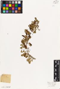 SW_BNB_s3010-08021_IMG-0000000001