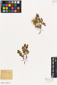 SW_BNB_s3010-08026_IMG-0000000001