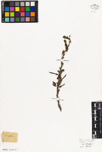 SW_BNB_s3010-08027_IMG-0000000001