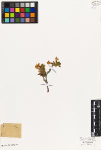 SW_BNB_s3010-08037_IMG-0000000001