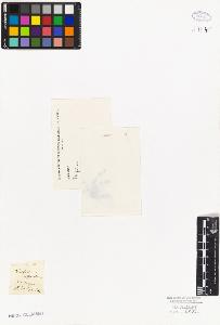 SW_BNB_s3010-08055_IMG-0000000001